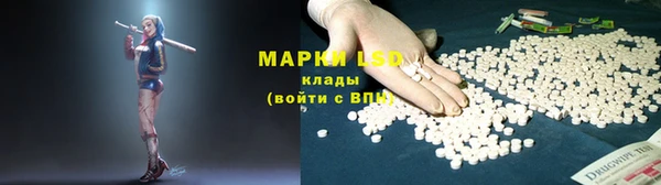 PSILOCYBIN Абдулино