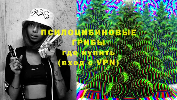 PSILOCYBIN Абдулино